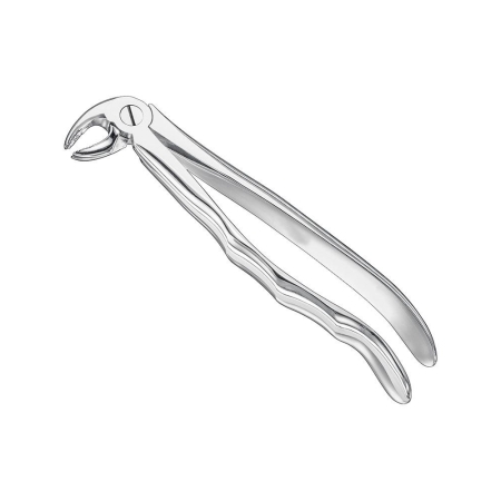 Extracting forceps, anat.